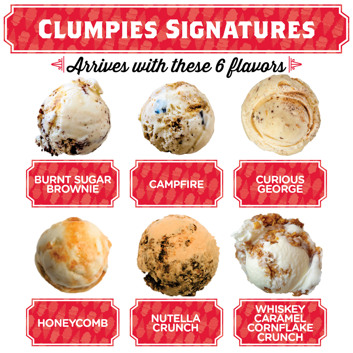 Scoop Shop Classics Pint Pack – Clumpies Ice Cream Co.